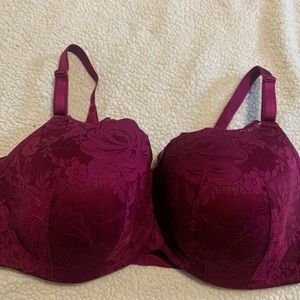 Two Torrid Curve Brad